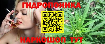 прущая мука Кингисепп