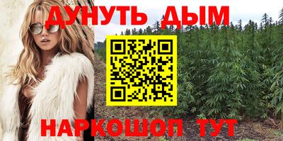 прущая мука Кингисепп