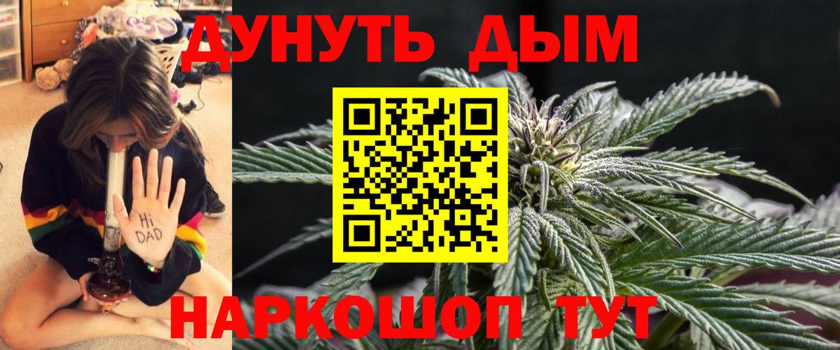 Канабис гибрид Куйбышев
